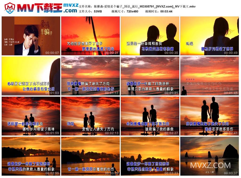 陈雅森-爱情是个骗子_国语_流行_MD305791